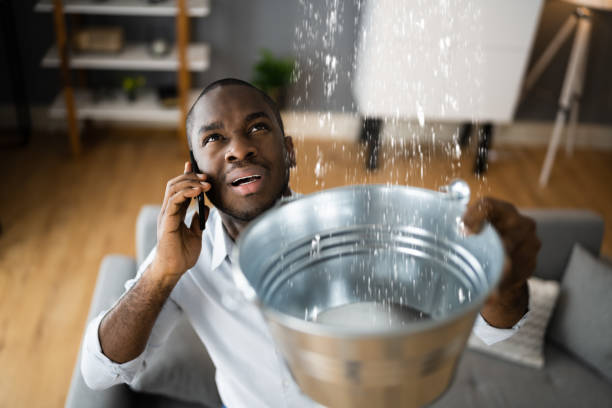 Best Flood restoration services  in Fairfax, OH