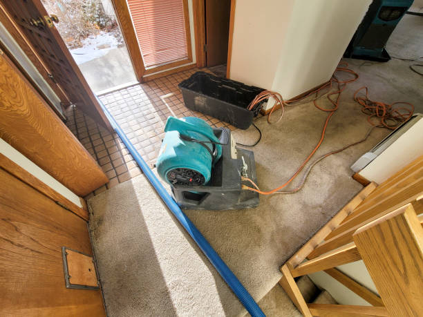 Best Water damage restoration specialists  in Fairfax, OH