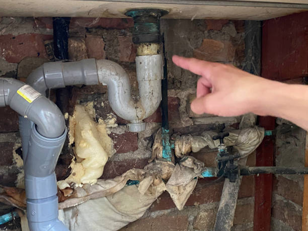 Best Water damage restoration mold remediation  in Fairfax, OH
